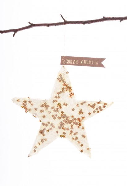 Papierstern - Sternen-Anhänger groß - Fröhliche Weihnachten - weiss gold